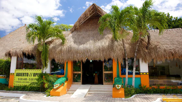 Crococun Zoo near Dreams Riviera Cancun Resort & Spa with interactive wildlife experiences in Puerto Morelos